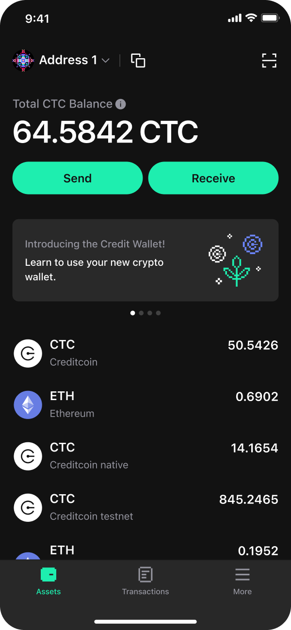 Credit Wallet app on iPhone